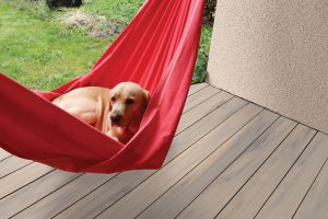 Saw grass decking with dog relaxing on hammock